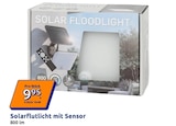 Solarflutlicht mit Sensor im Angebot bei Action in Bremerhaven Solarflutlicht mit Sensor Angebote bei Action Bremerhaven für 9,95 €