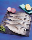 Daurade Royale d'Aquaculture en promo chez Super U Marseille à 11,50 €