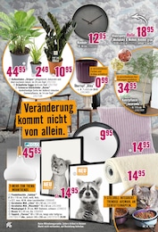 Hornbach Grünpflanzen im Prospekt 