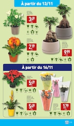 Offre Plante Verte dans le catalogue Aldi du moment à la page 21