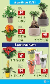 Promo Plantes dans le catalogue Aldi du moment à la page 21