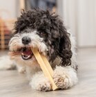 Snack Kaukäse S im Angebot bei Zookauf in Remscheid Snack Kaukäse S Angebote von Trixie bei Zookauf Remscheid für 4,99 €