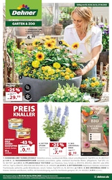 Dehner Garten-Center Prospekt: "Aktuelle Angebote", 16 Seiten, 03.06.2025 - 07.06.2025