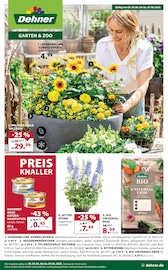 Aktueller Dehner Garten-Center Baumarkt Prospekt in Schönberg und Umgebung, "Aktuelle Angebote" mit 16 Seiten, 03.06.2025 - 07.06.2025