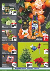 Aktueller EDEKA Prospekt mit Zimmerpflanzen, "Wir lieben Lebensmittel!", Seite 3