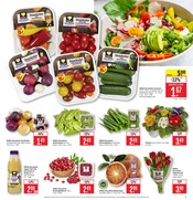 Ähnliche Palme Angebote im Prospekt "Aktuelle Angebote" von Marktkauf in Schorndorf Ähnliche Angebote wie Palme im Prospekt "Aktuelle Angebote" auf Seite 5 von Marktkauf in Schorndorf