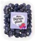 Kulturheidelbeeren im aktuellen Marktkauf Prospekt