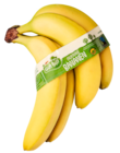 Bio-Bananen, Fairtrade Angebote von Gut Bio bei ALDI Nord Dülmen für 1,69 €