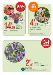Prix et réduction Jasmin dans le prospectus Botanic en cours Offre Jasmin dans le catalogue Botanic du moment à la page 5
