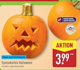 Speisekürbis Halloween Angebote bei ALDI Nord Dresden für 3,99 €