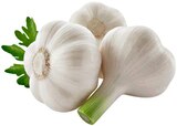 REWE Bachenberg - Frischer Knoblauch Angebot im Prospekt Frischer Knoblauch bei REWE im Bachenberg Prospekt für 0,69 €