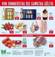 Cola im Marktkauf Prospekt "Aktuelle Angebote" mit 51 Seiten (Sindelfingen)