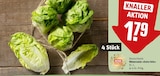 Römersalat Extra fein im Angebot bei REWE in Bremen Römersalat Extra fein Angebote von REWE Feine Welt bei REWE Bremen für 1,29 €