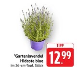 Gartenlavendel Hiddcote blue im Angebot bei Marktkauf in Reutlingen Gartenlavendel Hiddcote blue Angebote bei Marktkauf Reutlingen für 12,99 €