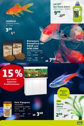 Aquarium Angebot im aktuellen Pflanzen Kölle Prospekt auf Seite 5
