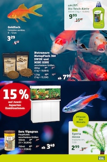 Fisch im Pflanzen Kölle Prospekt "Alle für Ihren Liebling!" mit 5 Seiten (Nürnberg)