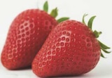 Erdbeeren bei combi im Hage Prospekt für 