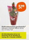 Kiefernbäumchen geschmückt im tegut Prospekt Kiefernbäumchen geschmückt von im aktuellen tegut Prospekt für 5,99 €