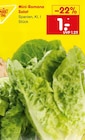 Mini-Romana Salat Angebote bei Netto Marken-Discount Offenburg für 1,00 €