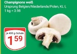 Aktuelle Champignons Angebote bei GLOBUS in Duisburg Aktuelles Champignons weiß Angebot bei GLOBUS in Duisburg ab 1,59 €