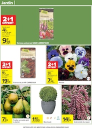 Prix et réduction Pensées dans le prospectus Carrefour en cours Offre Pensées dans le catalogue Carrefour du moment à la page 73