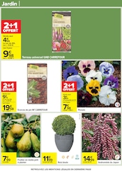 Terreau Angebote im Prospekt "LE MOIS VIP VERY IMPORTANT PROMOS*" von Carrefour auf Seite 73