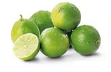 Bio-Limetten im Angebot bei Penny-Markt in Wiesbaden Bio-Limetten Angebote von NATURGUT bei Penny-Markt Wiesbaden für 1,00 €