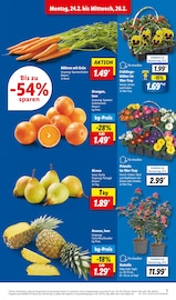 Ähnliches Angebot bei Lidl in Prospekt "LIDL LOHNT SICH" gefunden auf Seite 3