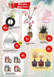Prix et réduction Fleurs dans le prospectus Maxi Bazar en cours Offre Fleurs dans le catalogue Maxi Bazar du moment à la page 12