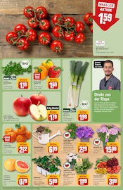 Ähnliche Thuja Angebote im Prospekt "Dein Markt" von REWE Ähnliches Angebot bei REWE in Prospekt "Dein Markt" gefunden auf Seite 9