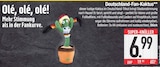 Deutschland-Fan-Kaktus im EDEKA Prospekt Deutschland-Fan-Kaktus von im aktuellen EDEKA Prospekt für 6,99 €
