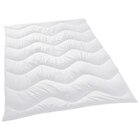 GANZJAHRESDECKE Levante 135/200 cm im Angebot bei XXXLutz in Oberursel GANZJAHRESDECKE Levante 135/200 cm Angebote von Sleeptex bei XXXLutz Oberursel für 49,99 €