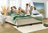 Aktuelles Familienboxspringbett BILLUND Angebot bei Ostermann in Essen ab 1.499,00 €