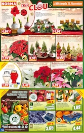 Silvester Angebot im aktuellen Norma Prospekt auf Seite 14