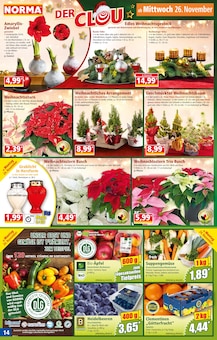 Feuerwerk im Norma Prospekt "Mehr fürs Geld" mit 20 Seiten (Laatzen)