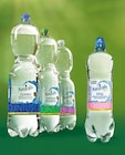 Mineralwasser Angebote von Naturalis bei Netto Marken-Discount Dülmen für 0,29 €