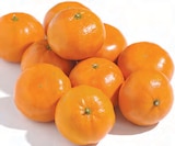 Netto mit dem Scottie Rövershagen - Mandarinen Angebot im Prospekt Mandarinen bei Netto mit dem Scottie im Rövershagen Prospekt für 1,79 €