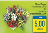 2 Bund Tulpen bei diska im Prospekt "" für 5,00 €