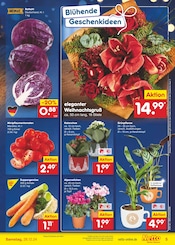 Aktueller Netto Marken-Discount Prospekt mit Zimmerpflanzen, "Aktuelle Angebote", Seite 5