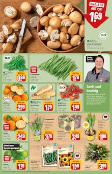 Rucola im REWE Prospekt "Dein Markt" mit 32 Seiten (Bielefeld)