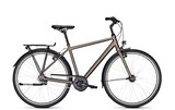 Kalkhoff Image Lite FL Herren grau 2023 Angebote von Kalkhoff bei Radwelt Coesfeld Hamm für 599,00 €