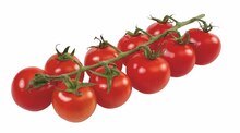 Spanien Cherry- rispentomaten bei famila Nordost in Hannover Spanien Cherry- rispentomaten im Angebot bei famila Nordost Hannover für 2,99 €