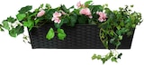 Aktuelle Blumenkasten Angebote bei Rusta in Bremen Aktuelles Übertöpfe, Ampeln und Blumenkästen Milano Angebot bei Rusta in Bremen ab 2,39 €