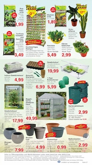 Zimmerpflanzen im aktuellen Jawoll Prospekt (Duisburg) Zimmerpflanzen im Jawoll Prospekt "Sonderposten-Märkte" mit 12 Seiten (Duisburg)