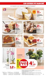 Plantes Angebote im Prospekt "U Express" von U Express auf Seite 13