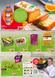 Kiwi Angebot im aktuellen Selgros Prospekt auf Seite 3