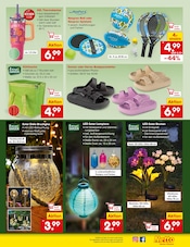 Solarlampe im Netto Marken-Discount Prospekt in München Aktueller Netto Marken-Discount Prospekt mit Solarlampe, "Aktuelle Angebote", Seite 41