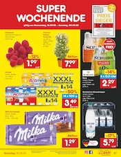 Milka im Netto Marken-Discount Prospekt in Erftstadt Aktueller Netto Marken-Discount Prospekt mit Milka, "Aktuelle Angebote", Seite 31