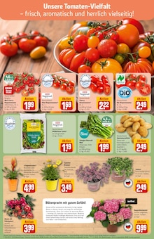 Pflanzen im aktuellen REWE Prospekt (Nürnberg) Pflanzen im REWE Prospekt "Dein Markt" mit 30 Seiten (Nürnberg)