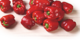 Bio-Paprika rot im tegut Prospekt Bio-Paprika rot von Naturland im aktuellen tegut Prospekt für 2,99 €